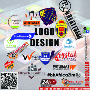 Company Logo Design
